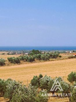 Μονοκατοικία 255τ.μ. για πώληση-Καλλικράτεια » Ροδόκηπος