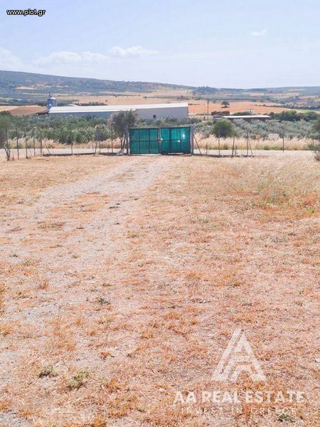 Μονοκατοικία 255 τ.μ. πρός πώληση, Χαλκιδική, Καλλικράτεια