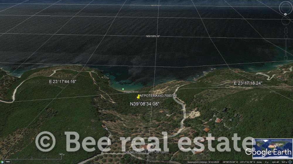 Αγροτεμάχια 7.000 τ.μ. πρός πώληση, Μαγνησία, Σηπιάδα