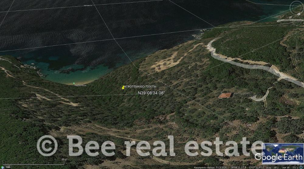 Αγροτεμάχια 7.000 τ.μ. πρός πώληση, Μαγνησία, Σηπιάδα