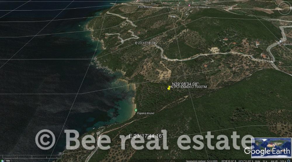Αγροτεμάχια 7.000 τ.μ. πρός πώληση, Μαγνησία, Σηπιάδα