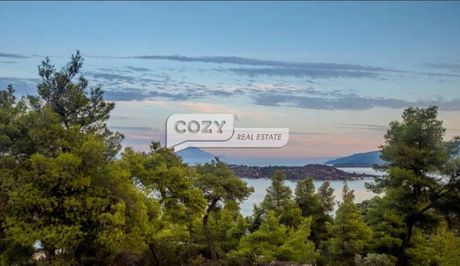 Μονοκατοικία 300τ.μ. για πώληση-Σιθωνία » Φτερωτή
