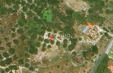 Αγροτεμάχια 2.703τ.μ. για πώληση-Κεφαλονιά » Παλική