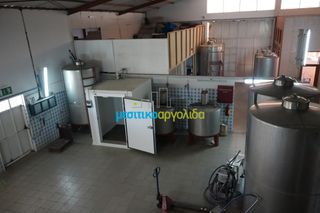 Βιομηχανικός χώρος 1.496,57 τ.μ. για πώληση, Αργολίδα, Άργος-thumb-24