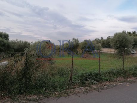 Land plot 540sqm for sale-Dytikis Achaias » Profitis Elissaios