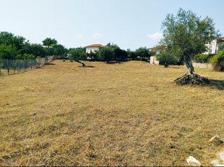 Οικόπεδο 2.300 τ.μ. για πώληση, Μεσσηνία, Αριστομένης-thumb-2