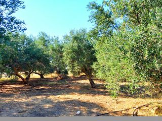 Οικόπεδο 1.962 τ.μ. για πώληση, Ν. Ρεθύμνου, Γεροπόταμος-thumb-3