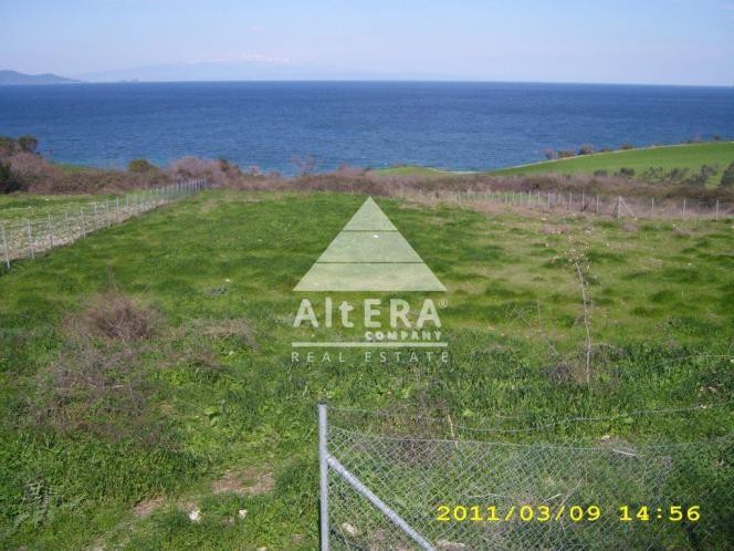 Αγροτεμάχια 4.800 τ.μ. προς πώληση, Νέα Ρόδα