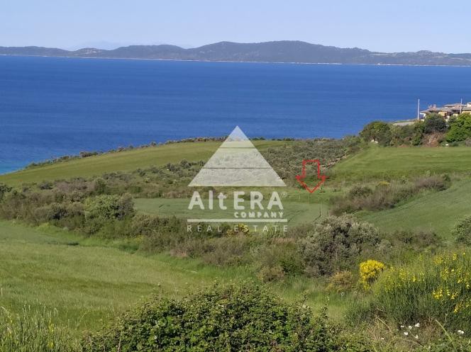 Αγροτεμάχια 4.800 τ.μ. προς πώληση, Νέα Ρόδα
