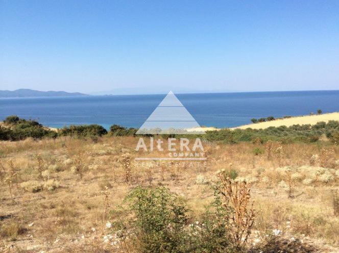 Αγροτεμάχια 4.800 τ.μ. προς πώληση, Νέα Ρόδα