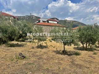 Κατάστημα 40 τ.μ. προς πώληση, Ζαρκαδιά-thumb-4