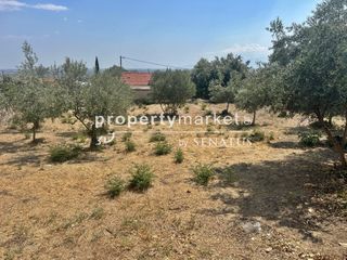 Κατάστημα 40 τ.μ. προς πώληση, Ζαρκαδιά-thumb-5