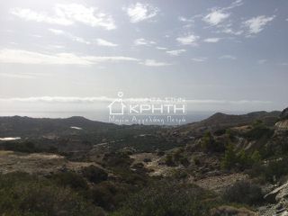 Land plot 13.500 sqm for sale