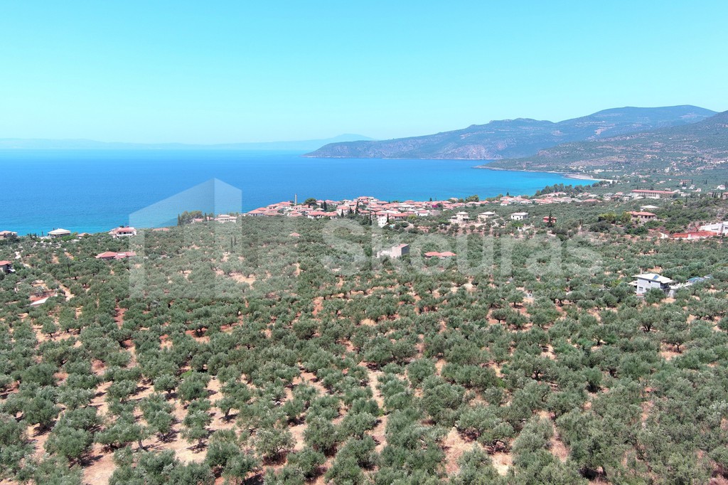 Οικόπεδο 2.687 τ.μ. πρός πώληση, Μεσσηνία, Λεύκτρος
