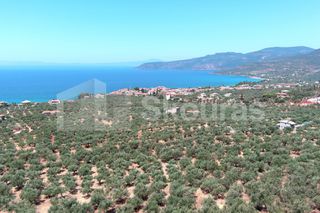 Οικόπεδο 2.687 τ.μ. για πώληση, Μεσσηνία, Λεύκτρος-thumb-4