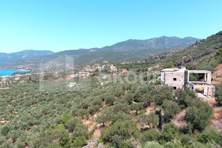 Οικόπεδο 2.687 τ.μ. για πώληση, Μεσσηνία, Λεύκτρος-thumb-10