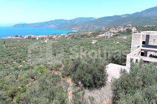 Οικόπεδο 2.687 τ.μ. για πώληση, Μεσσηνία, Λεύκτρος-thumb-12