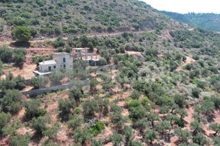 Οικόπεδο 2.687 τ.μ. για πώληση, Μεσσηνία, Λεύκτρος-thumb-2