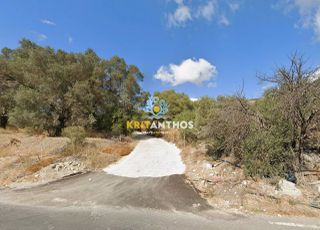 Αγροτεμάχια 16.600 τ.μ. για πώληση