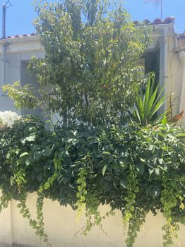 Detached home 60sqm for sale-El. Venizelos