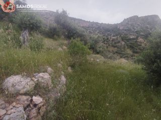 Αγροτεμάχια 4.777,07 τ.μ. για πώληση, Ν. Σάμου, Σάμος-thumb-2