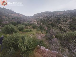 Αγροτεμάχια 4.777,07 τ.μ. για πώληση, Ν. Σάμου, Σάμος-thumb-5