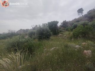 Αγροτεμάχια 4.777,07 τ.μ. για πώληση, Ν. Σάμου, Σάμος-thumb-6
