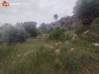 Αγροτεμάχια 4.777,07 τ.μ. για πώληση, Ν. Σάμου, Σάμος-thumb-7