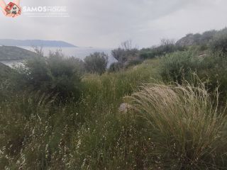 Αγροτεμάχια 4.777,07 τ.μ. για πώληση, Ν. Σάμου, Σάμος-thumb-8