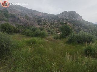 Αγροτεμάχια 4.777,07 τ.μ. για πώληση, Ν. Σάμου, Σάμος-thumb-10