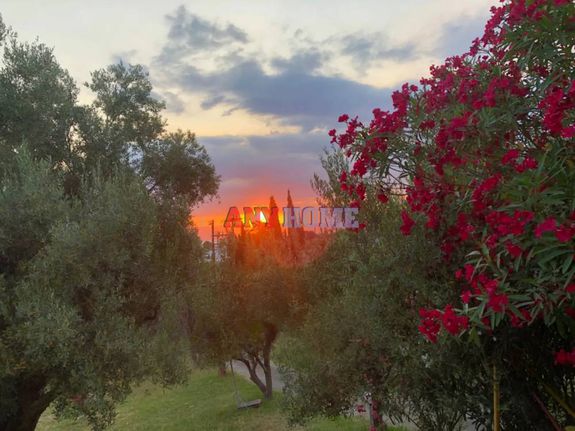 Μονοκατοικία 150 τ.μ. για πώληση, Χαλκιδική, Κασσάνδρα