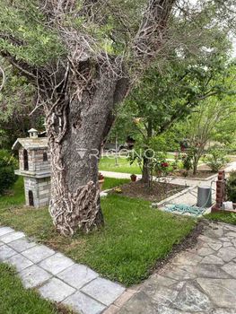 Μονοκατοικία 54τ.μ. για πώληση-Μαρώνεια » Πλατανίτης