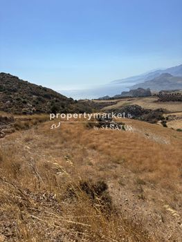 Land plot 5.200sqm for sale-Foinikas » Schoinaria