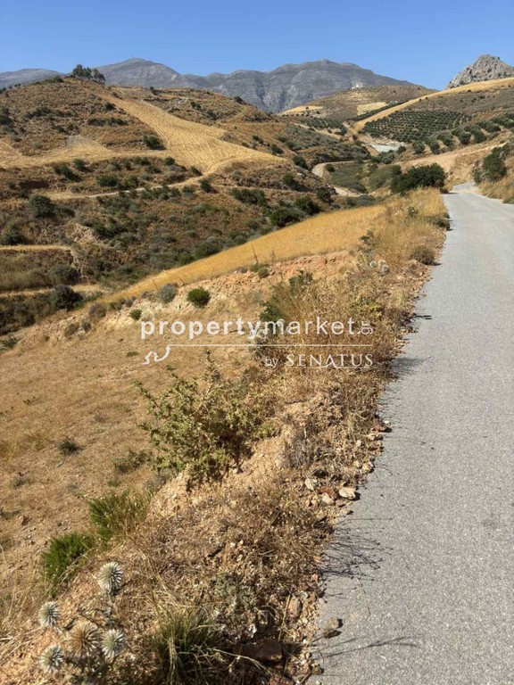 Οικόπεδο 5.200 τ.μ. πρός πώληση, Ν. Ρεθύμνου, Φοινίκας