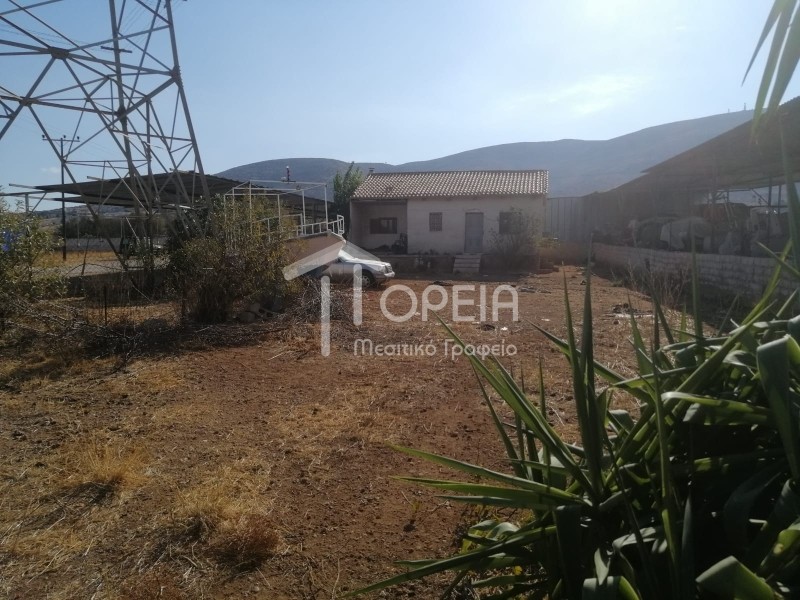 Μονοκατοικία 65 τ.μ. πρός πώληση, Αττική - Υπόλοιπο, Καλύβια Θορικού