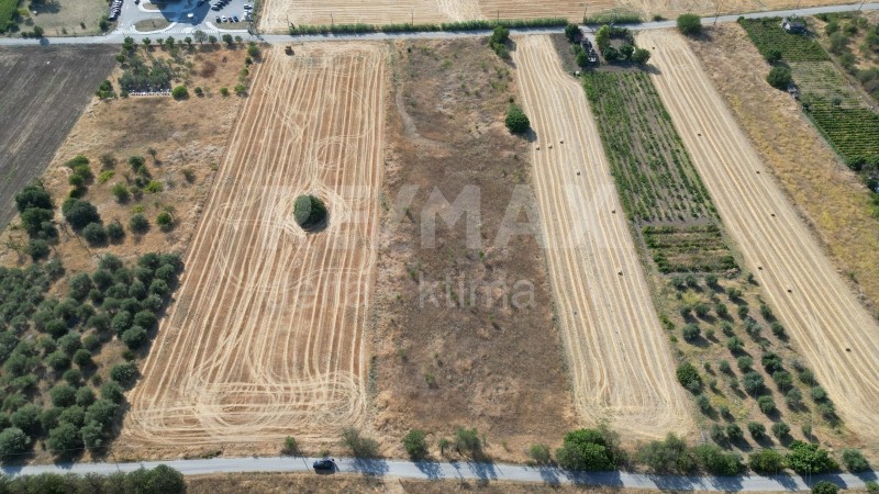Αγροτεμάχια 4.100 τ.μ. προς πώληση, Νεάπολη Λάρισας