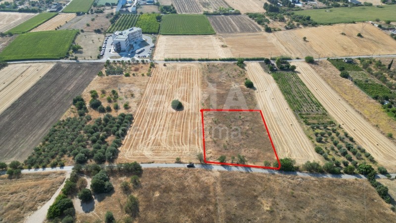 Αγροτεμάχια 4.100 τ.μ. προς πώληση, Νεάπολη Λάρισας
