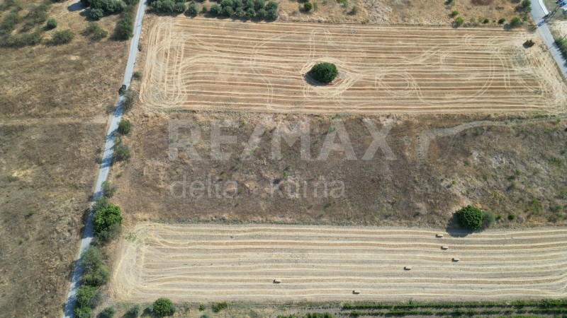 Αγροτεμάχια 4.100 τ.μ. προς πώληση, Νεάπολη Λάρισας