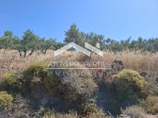 Οικόπεδο 6.656 τ.μ. για πώληση, Ν. Χανίων, Κολυμβάρι-thumb-8