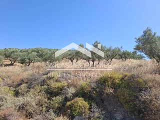 Οικόπεδο 6.656 τ.μ. για πώληση, Ν. Χανίων, Κολυμβάρι-thumb-11