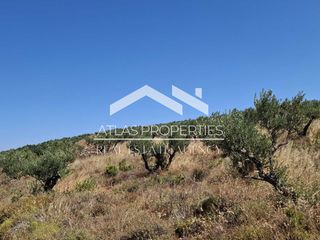 Οικόπεδο 6.656 τ.μ. για πώληση, Ν. Χανίων, Κολυμβάρι-thumb-5