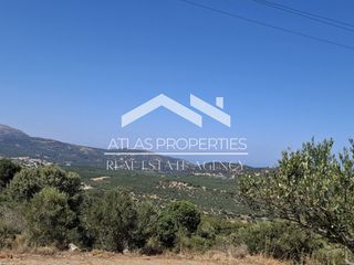 Οικόπεδο 6.656 τ.μ. για πώληση, Ν. Χανίων, Κολυμβάρι-thumb-1