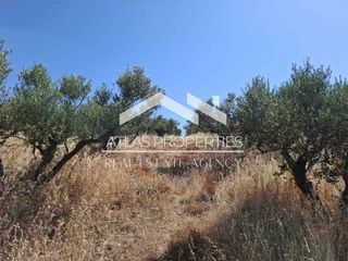 Οικόπεδο 6.656 τ.μ. για πώληση, Ν. Χανίων, Κολυμβάρι-thumb-12
