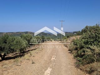Οικόπεδο 6.656 τ.μ. για πώληση, Ν. Χανίων, Κολυμβάρι-thumb-21