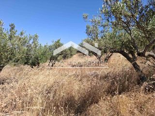 Οικόπεδο 6.656 τ.μ. για πώληση, Ν. Χανίων, Κολυμβάρι-thumb-7