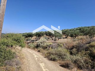 Οικόπεδο 6.656 τ.μ. για πώληση, Ν. Χανίων, Κολυμβάρι-thumb-17
