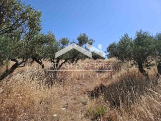 Οικόπεδο 6.656 τ.μ. για πώληση, Ν. Χανίων, Κολυμβάρι-thumb-6