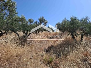 Οικόπεδο 6.656 τ.μ. για πώληση, Ν. Χανίων, Κολυμβάρι-thumb-10