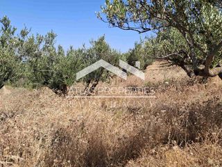 Οικόπεδο 6.656 τ.μ. για πώληση, Ν. Χανίων, Κολυμβάρι-thumb-14