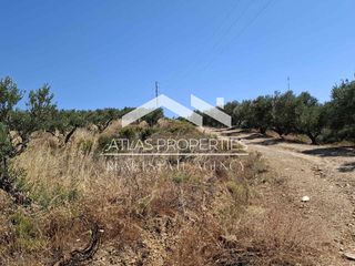 Οικόπεδο 6.656 τ.μ. για πώληση, Ν. Χανίων, Κολυμβάρι-thumb-2